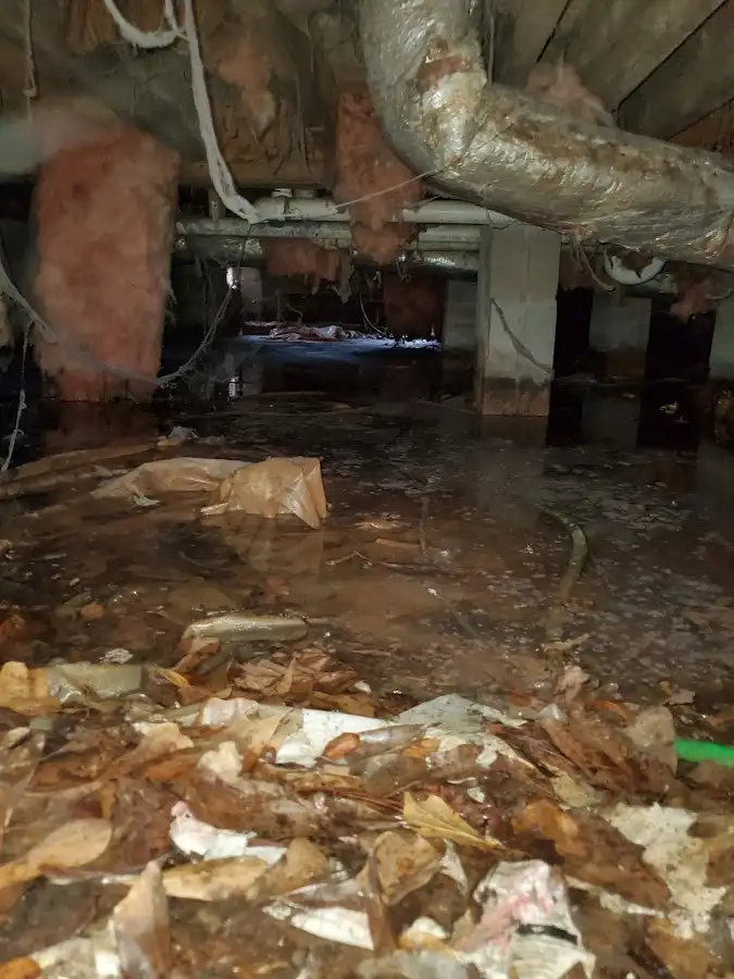 Crawl space flood assessment for Leak Detection & Repair in Edgewood