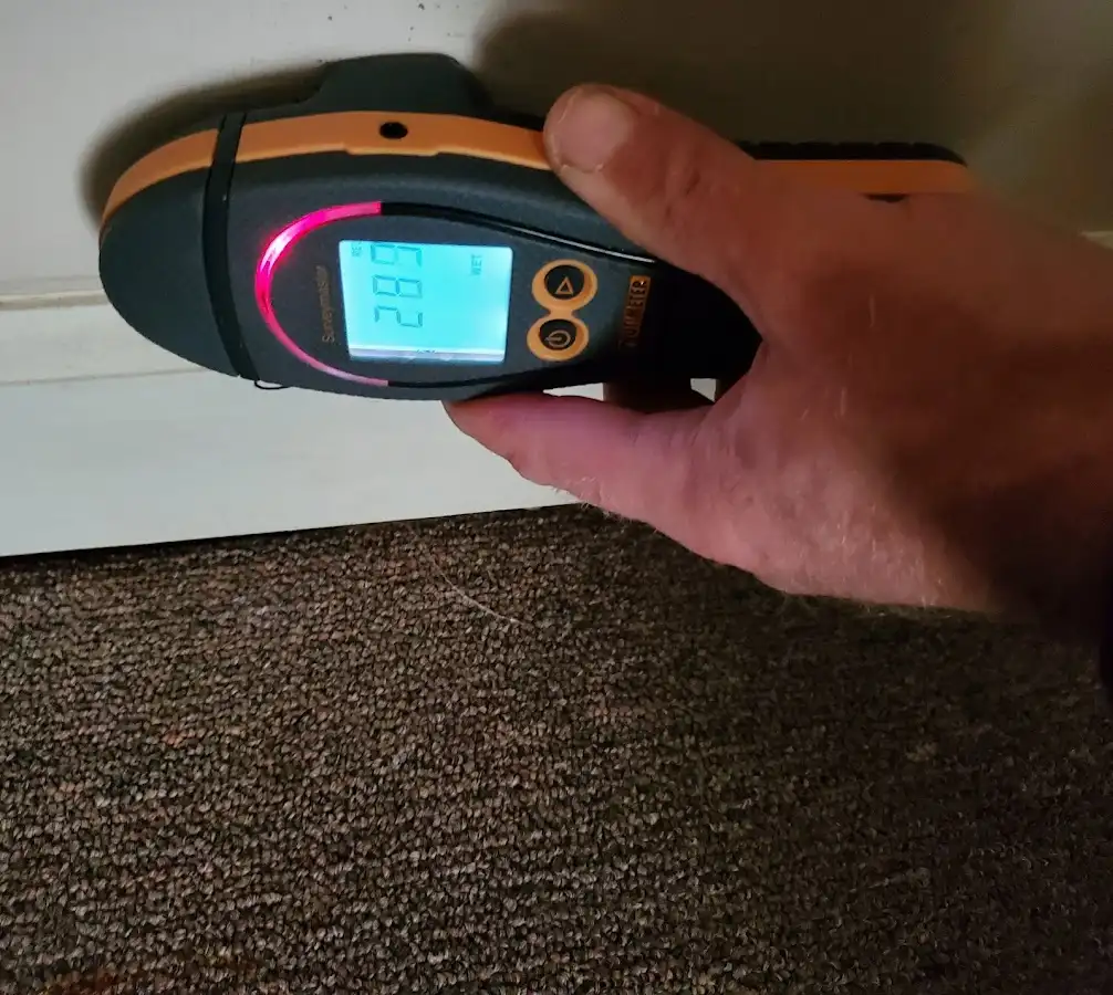Moisture detection at baseboard during Mold Inspection & Testing in Edgewood
